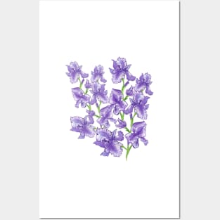 FLOWERS Irises-Bouquet of irises-Beautiful irises Posters and Art